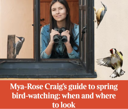 get-birding-press-1