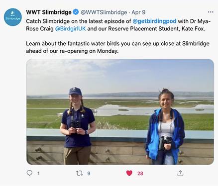 get-birding-press-12