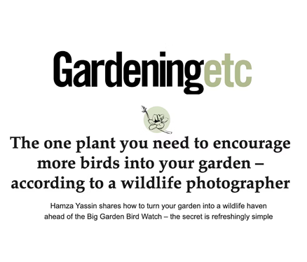 get-birding-press-8