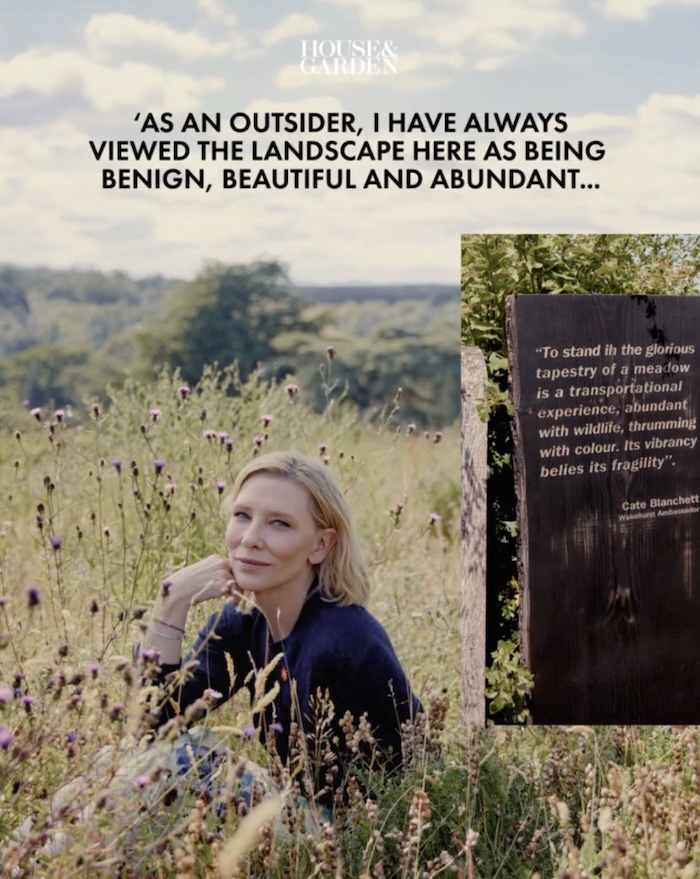 cate-kew-gardens-house-and-garden-media-2