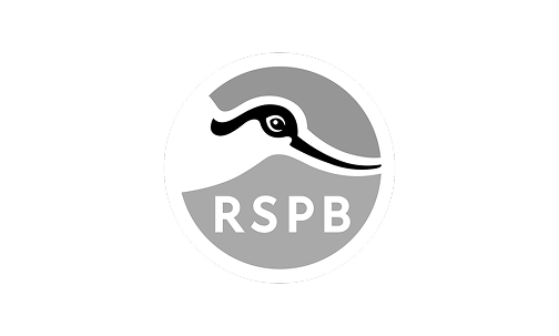 get-birding-multiplatform-bird-watching-brand-rspb