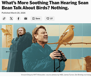 get-birding-transmedia-birdwatching-platform-sean-bean-press-1