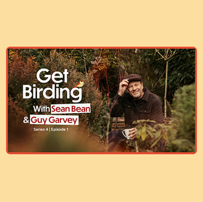get-birding-youtube-birdwatching-with-sean-bean